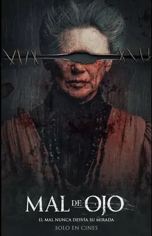 t7 - copia (10).webp